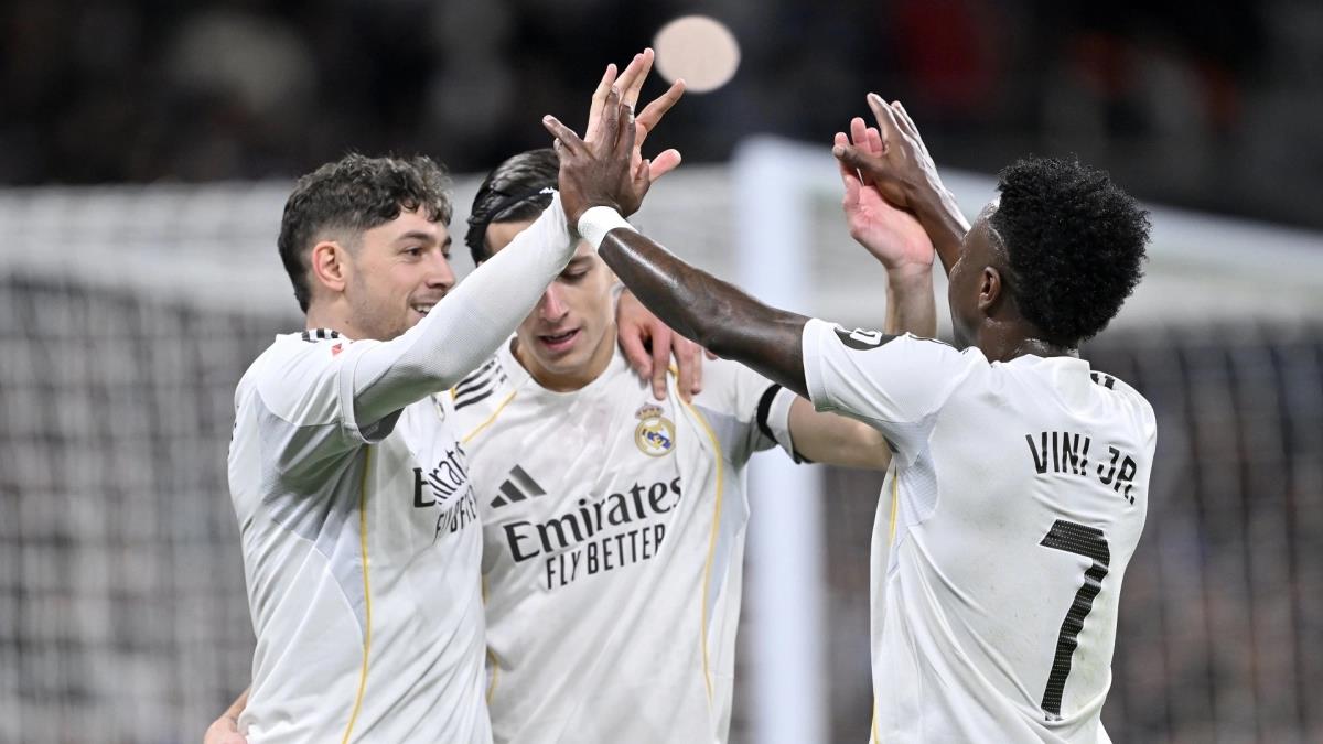 5428278543650117 image