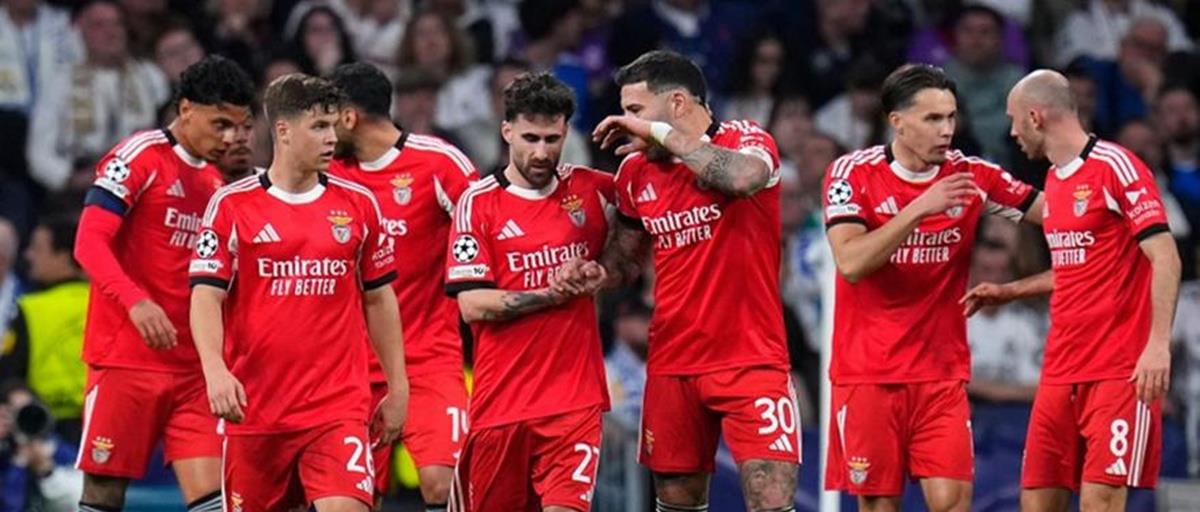 5428280291784363 ap26056733343890 133419