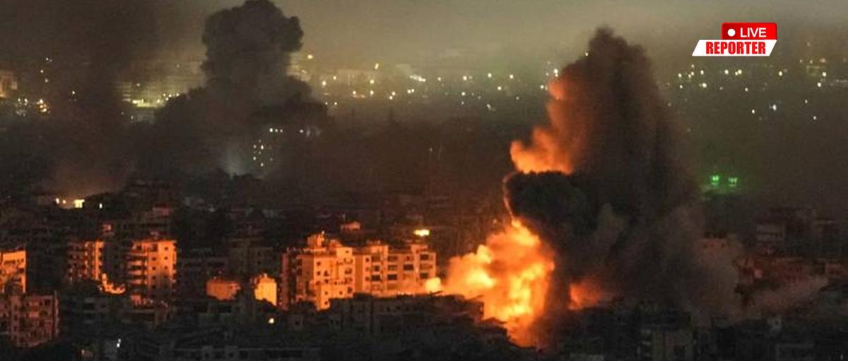 5428352198966273 cats