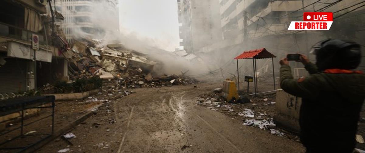 5428839108776156 cats