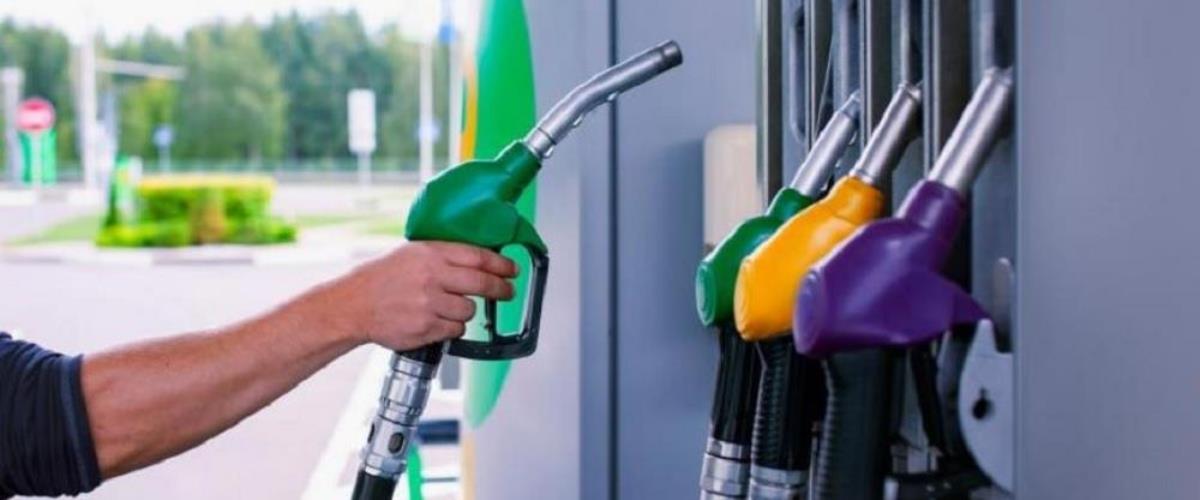 5428957637993664 cache 1300x500 Analog medium 1395196 50389 26 03 09 132455