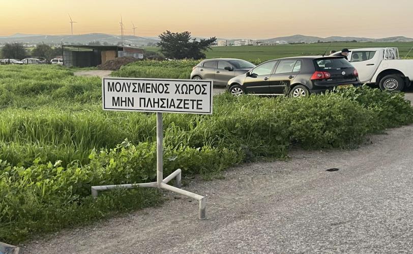 5429042126741463 image