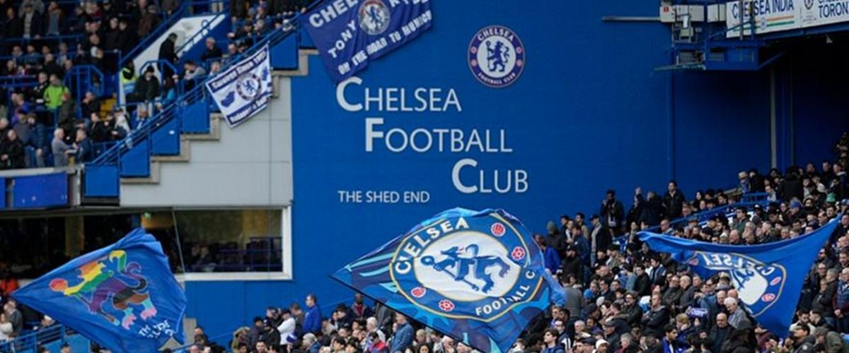 5429164371719333 cats