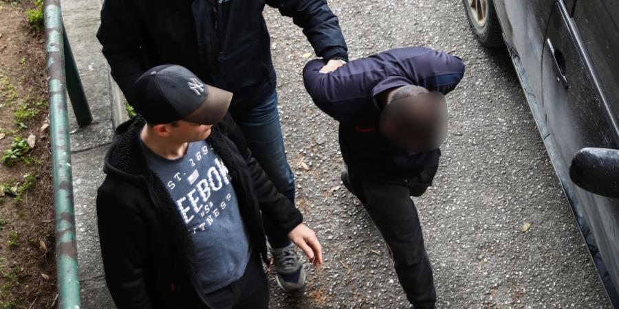 5431372482253851 image