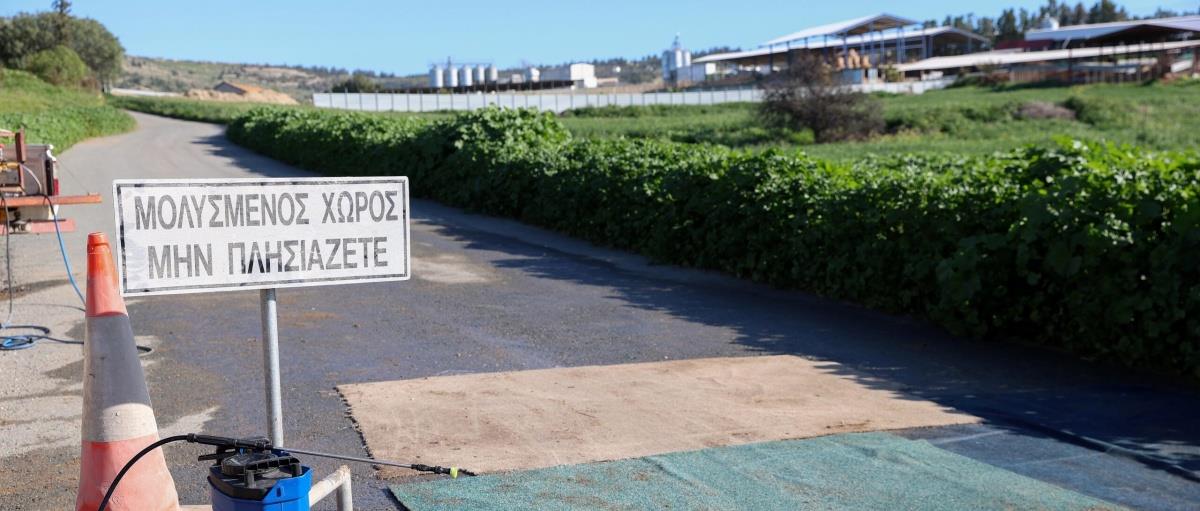 5431721229970765 E39A9854-2-scaled