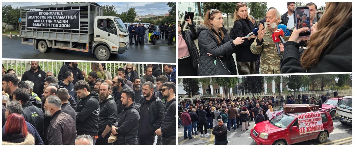 5433424529206237 collage