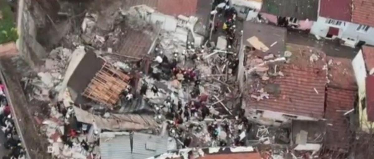 5434141069032281 cats