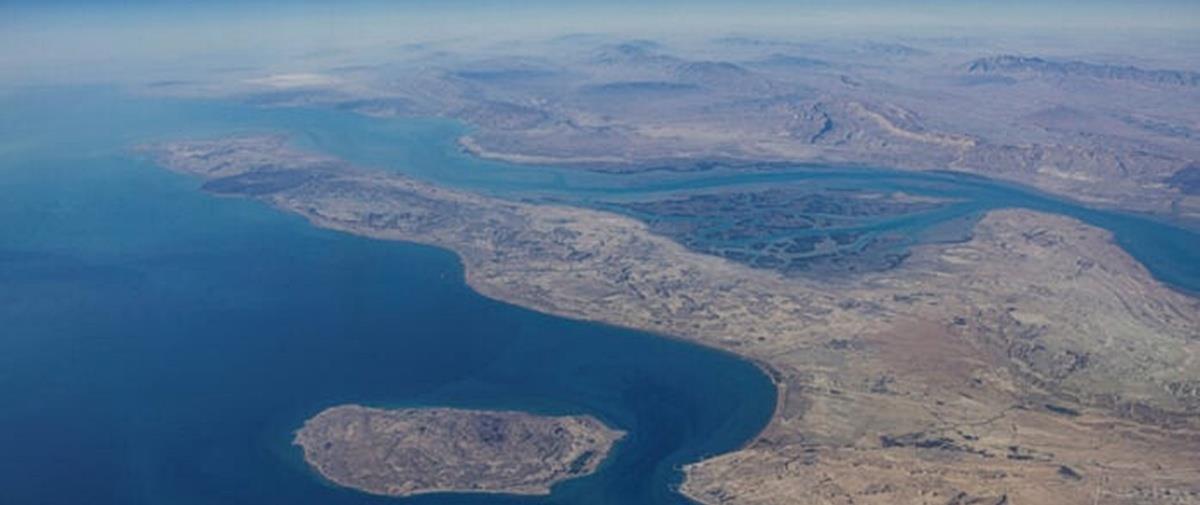 5434162033021382 cats