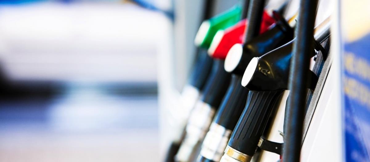 5434942750070443 cats