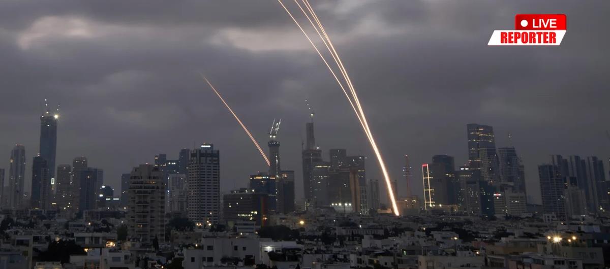 5435681620294192 cats