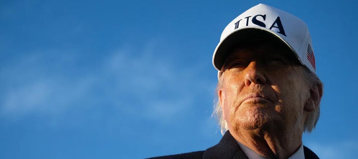 5435818139955314 cats