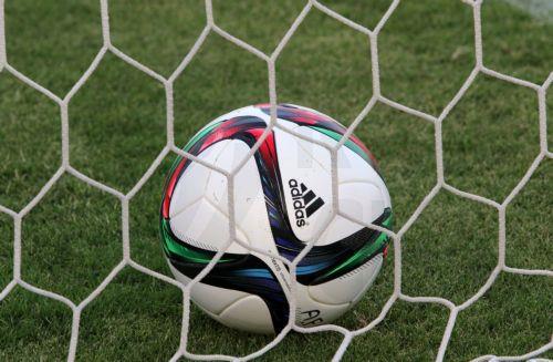 5436653962379426 image