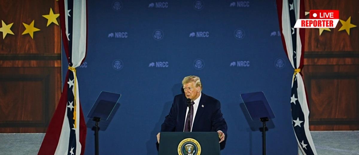 5437403474049228 cats