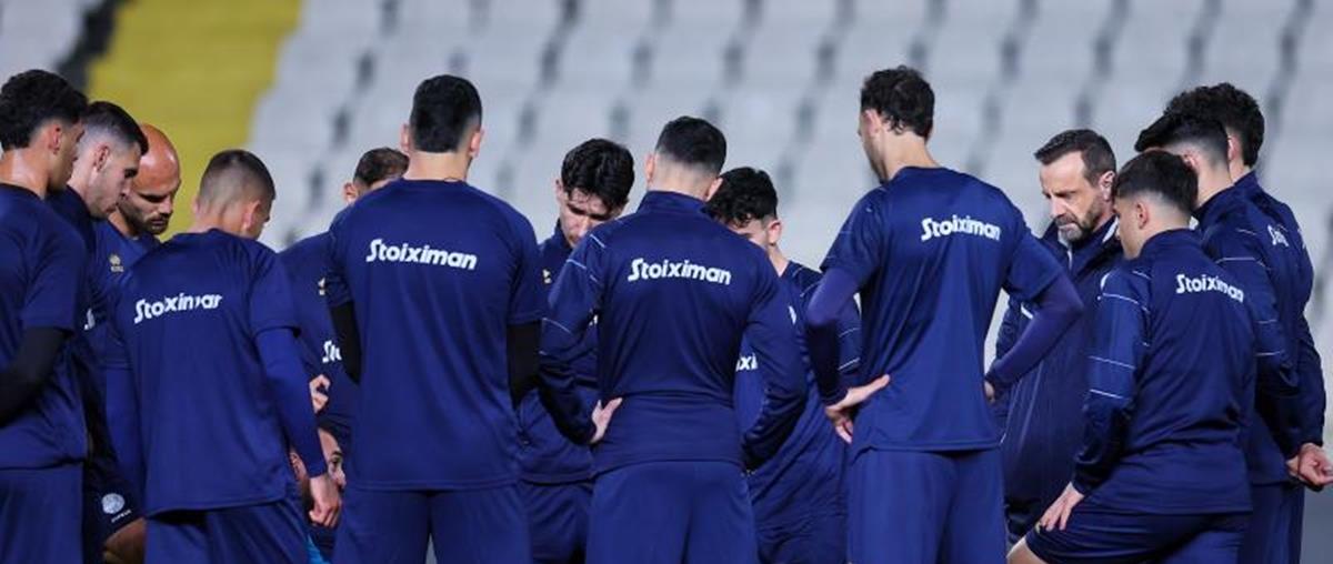 5437533004820516 cats