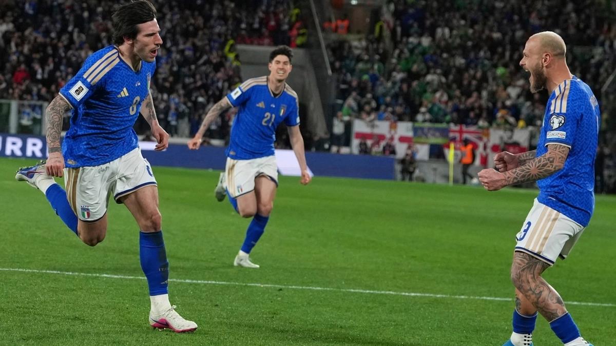 5438316727659436 image