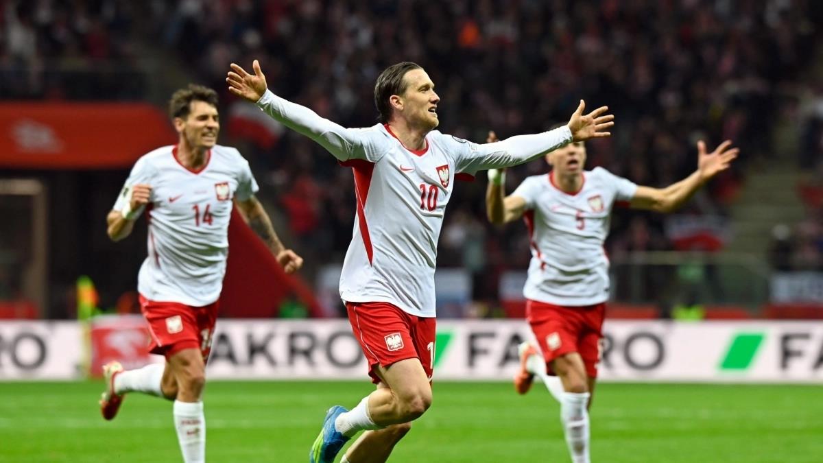 5438321647177033 image