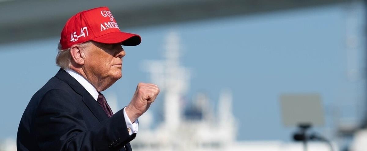 5438412427222433 cats