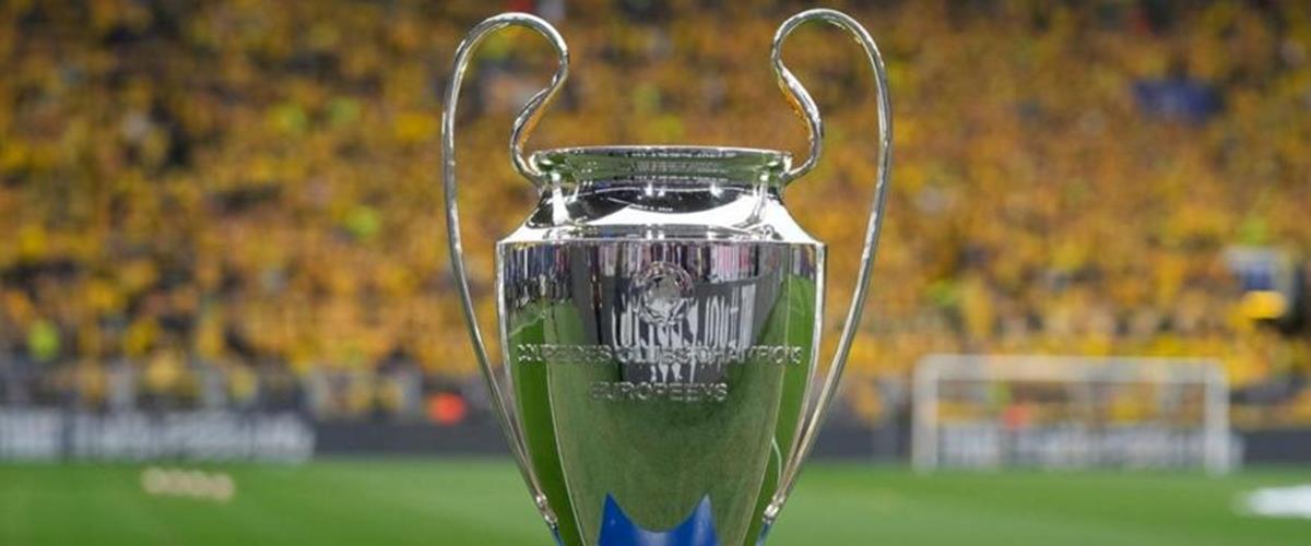 5438608770269643 cats