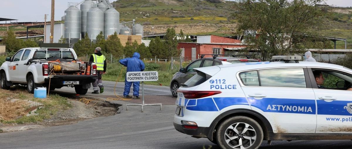 5440359483054872 image