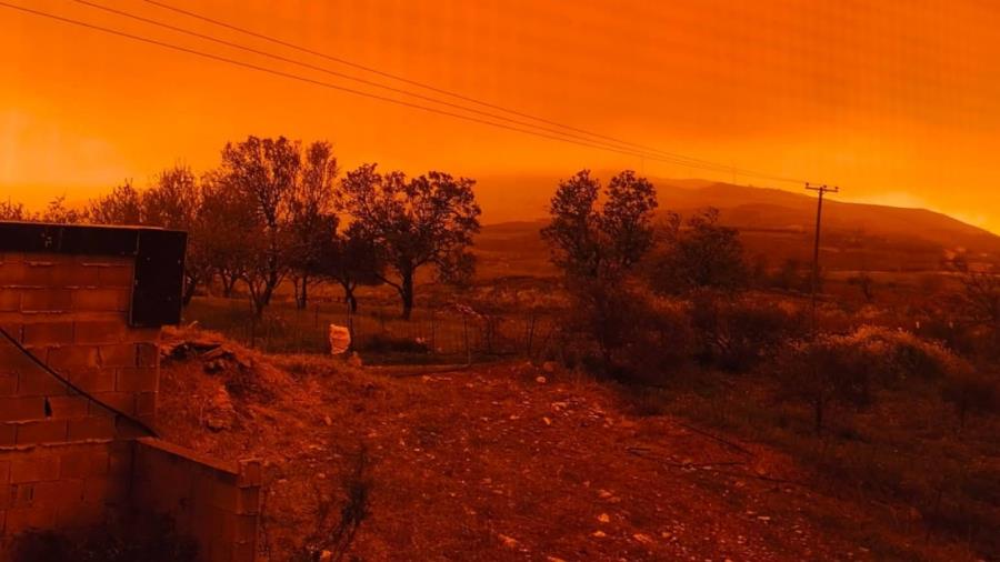 5442921946359286 kriti