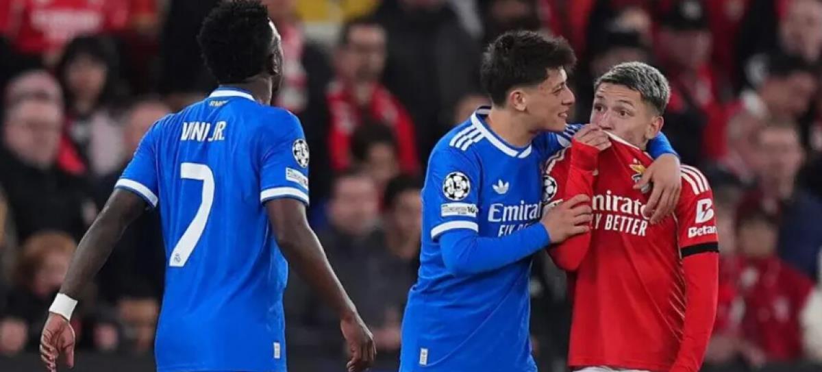 5443530612252823 cats