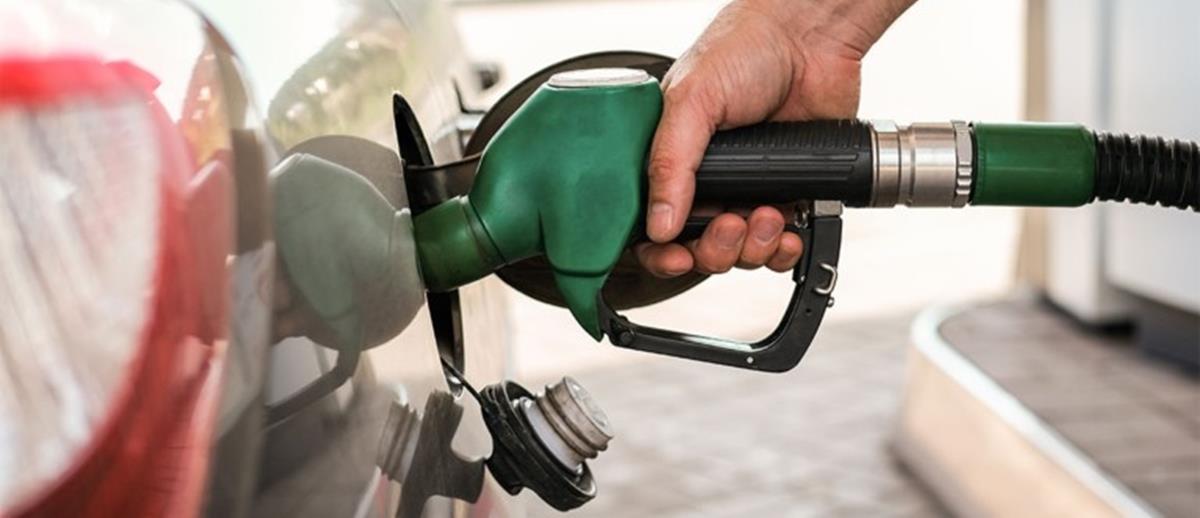 5443602208163104 cats