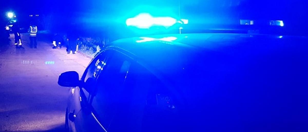 5445180077967331 image