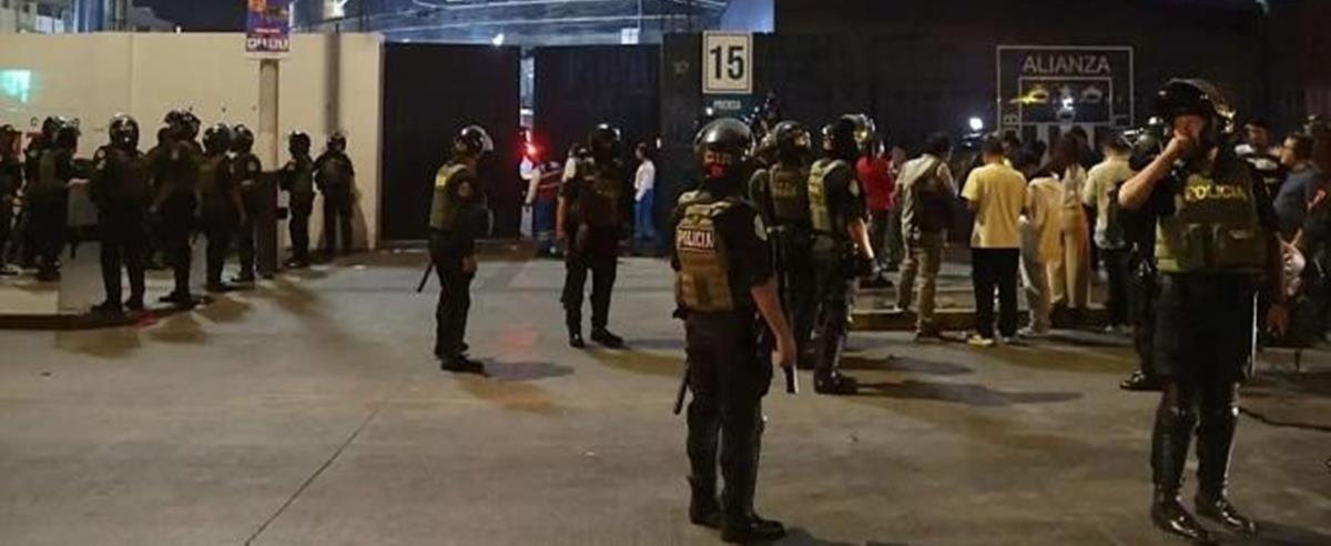 5445204362128674 cats