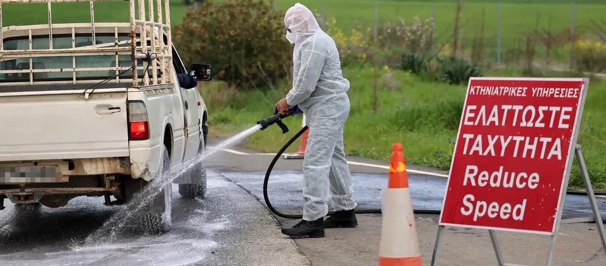 5445393326757685 cats