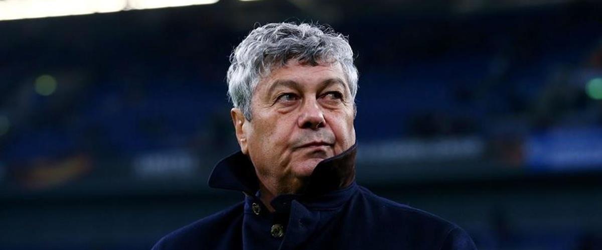 5445449336423368 cats