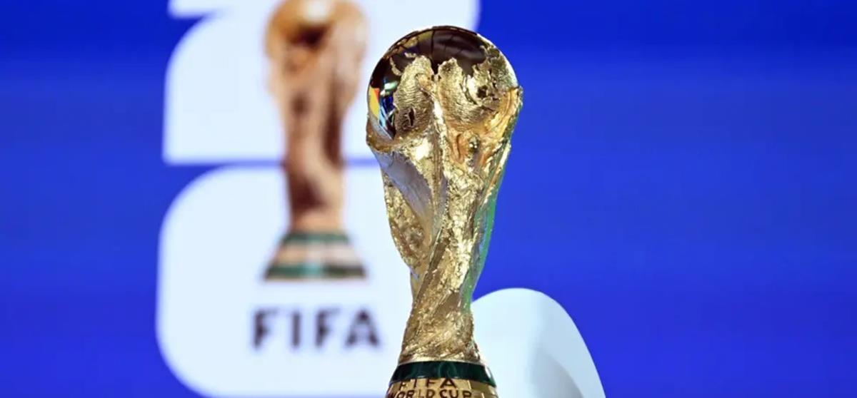 5445482478195629 cats