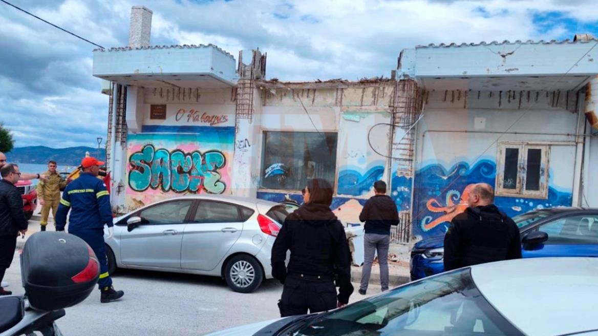 5445629108850985 image