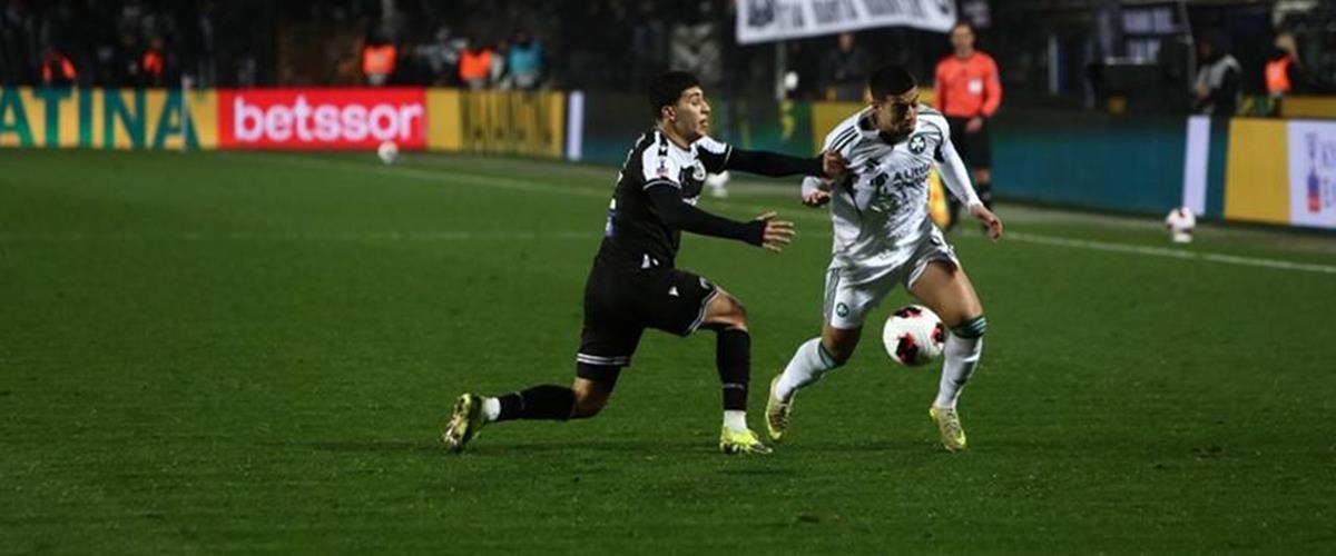 5446103728039709 cats