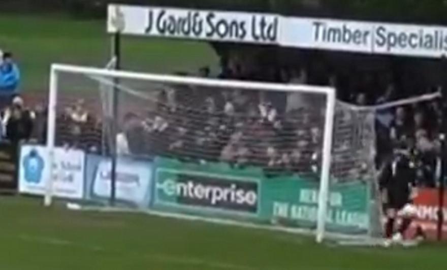 5446402941971031 image