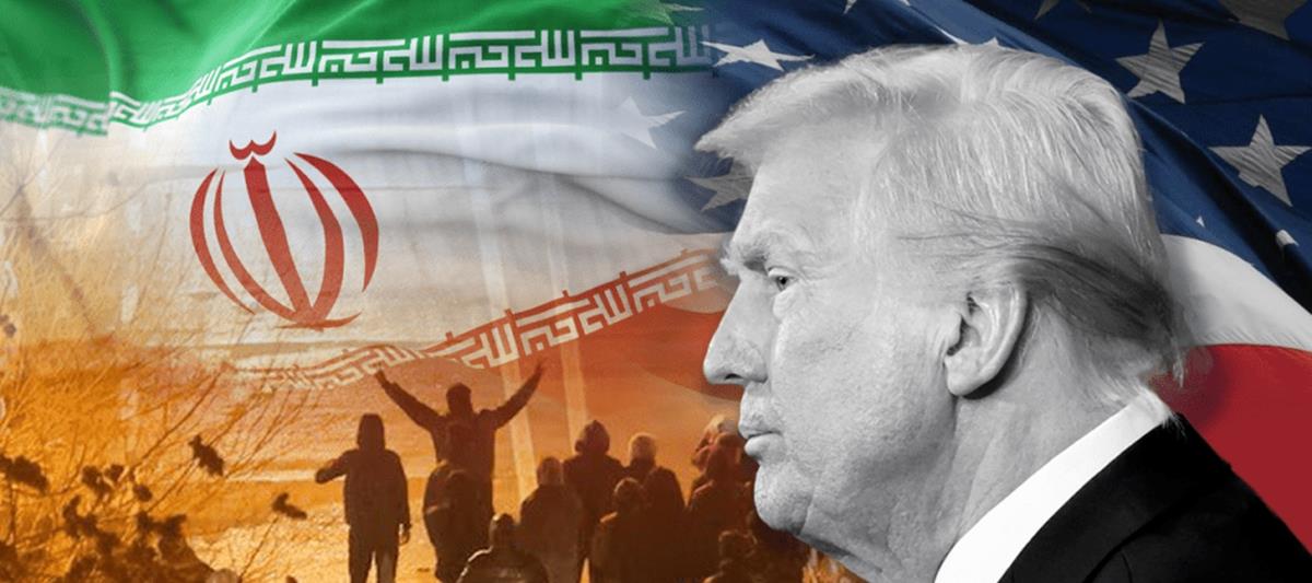 5448658865416794 cats