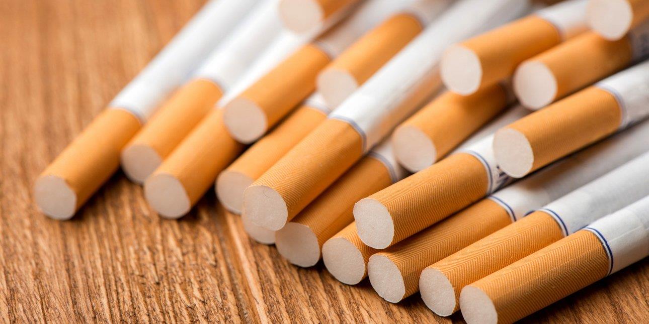 5448638206035693 image