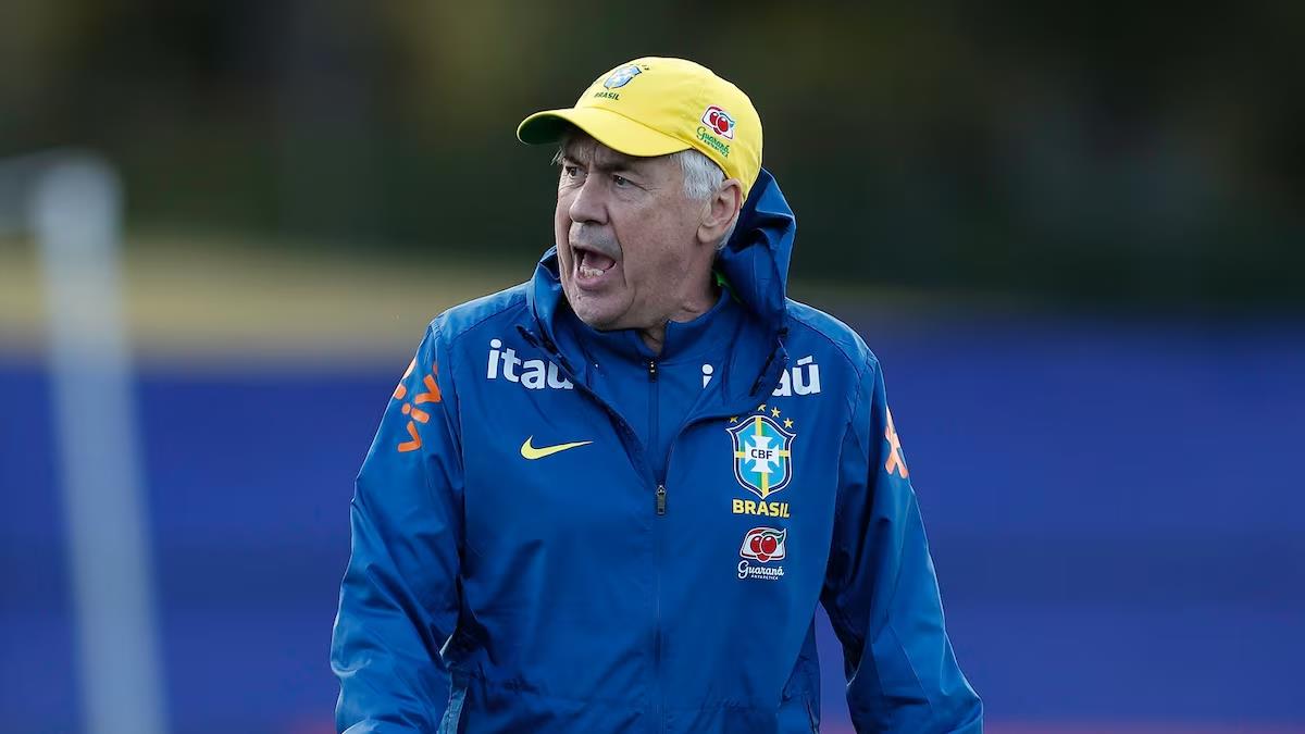 5448728612364994 image