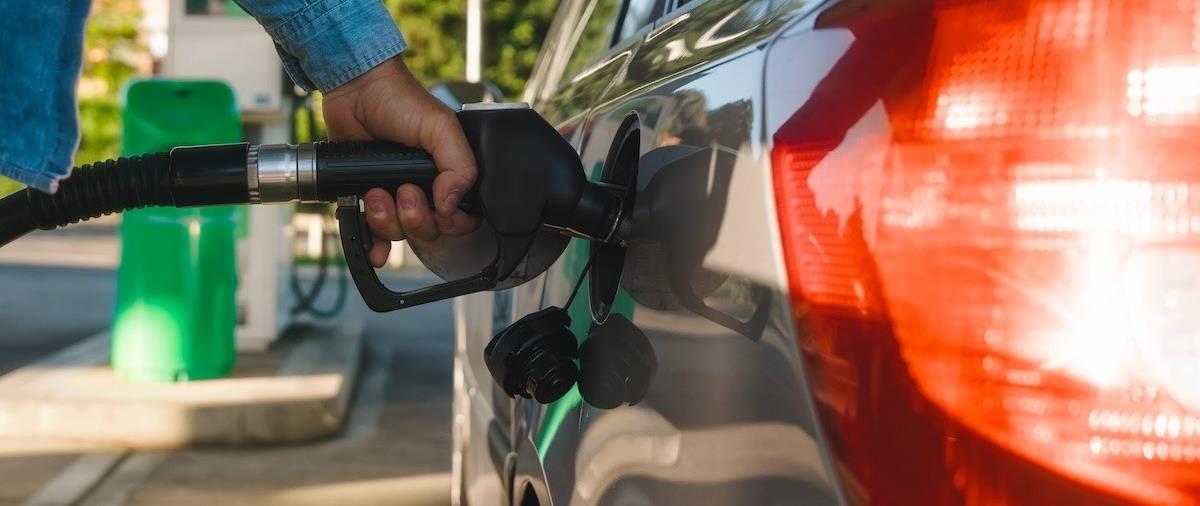 5448885961898521 cats