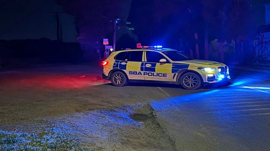 5449610077312161 cats