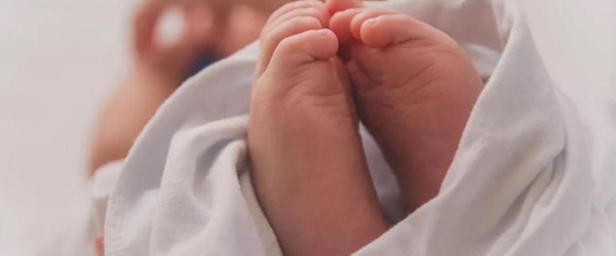 5450595425887664 cats