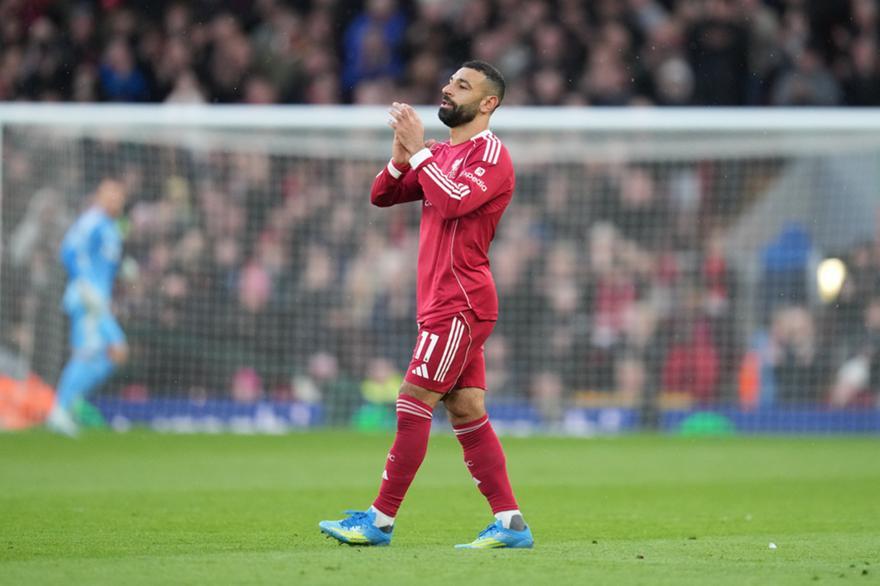 5452178691098634 ap26101663230548 225648