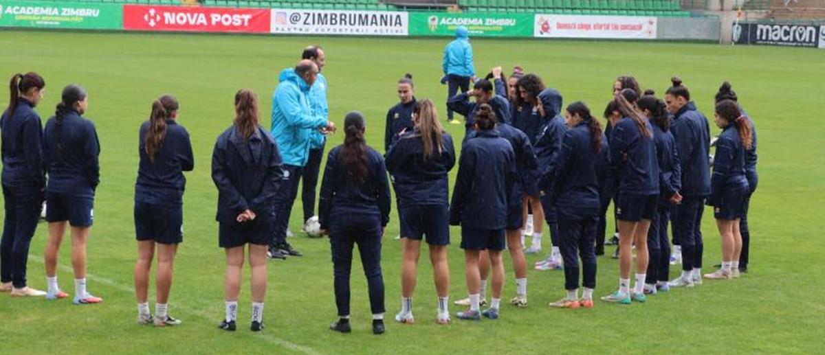 5453872207834472 cats