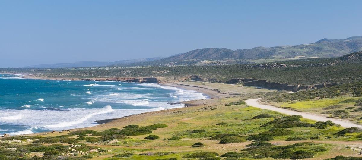 5453924097421152 cats