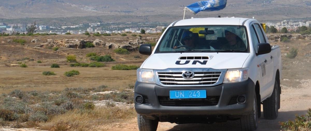 5453997469846778 cats