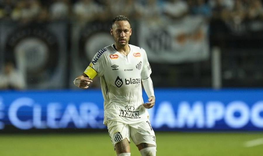 5454734046361323 cats