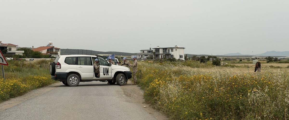 5454847399480390 cats