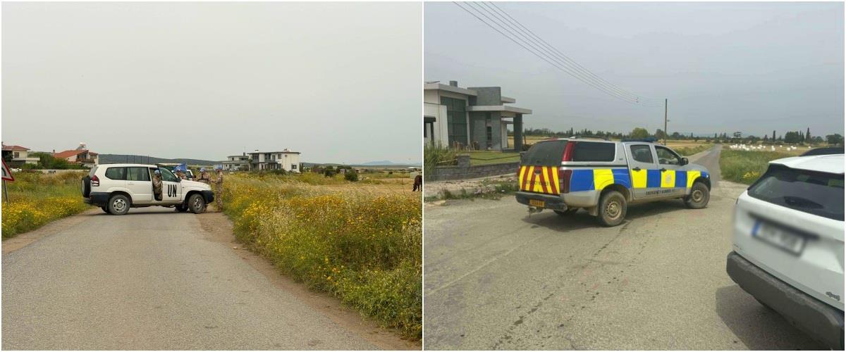 5455058384177948 collage