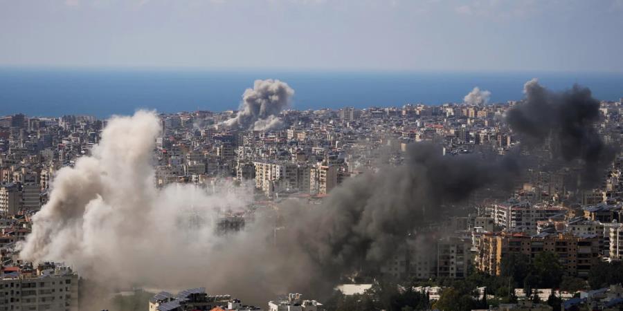 5455672013833611 image