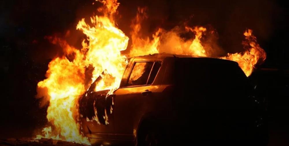 5455984911430835 cats