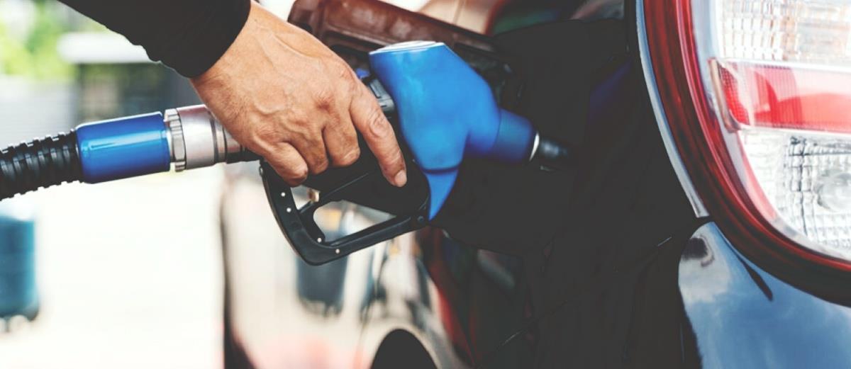 5456006683302207 image